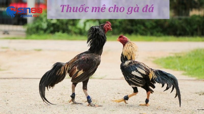 Thuốc làm gà không được bao gồm những loại nào?